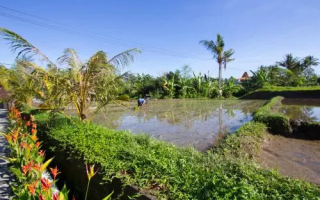 Baruna Sari Villa