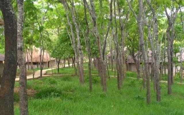 Mikumi Safari Lodge