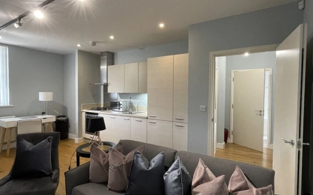 Luxurious Private One Bedroom Apartment