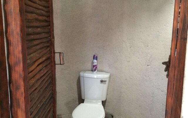 Toro River Lodges Big 5 Exclusive Safari