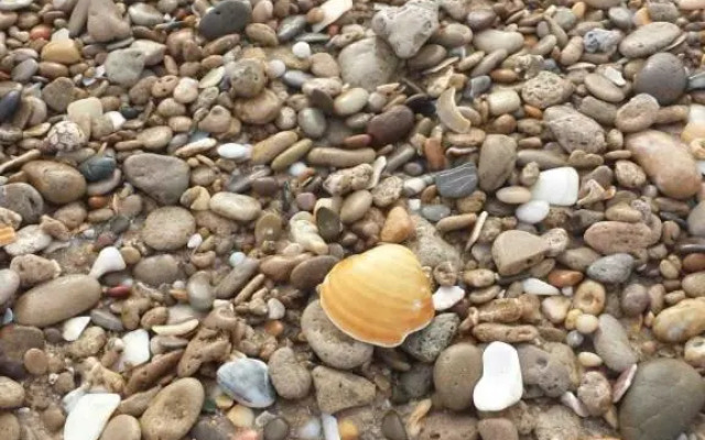 Apartamento Zahara De Los Atunes