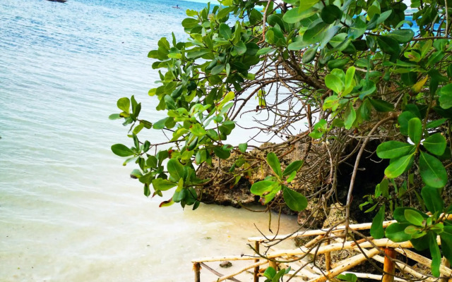 The Island - Pongwe Lodge - Adults Only