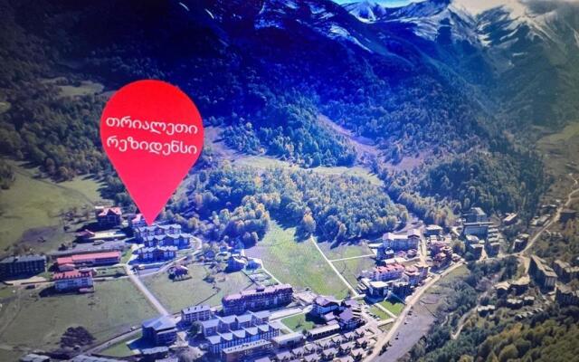 Апартаменты в Бакуриани