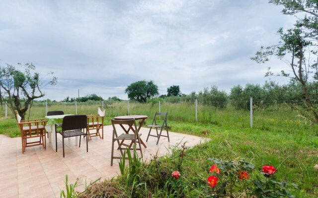 House Maslina