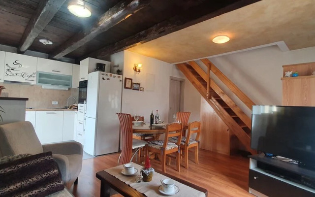 Apartment Igor