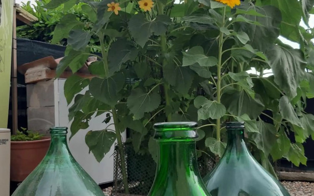 Villa Marianna South Garda Lake Holidays Apartments