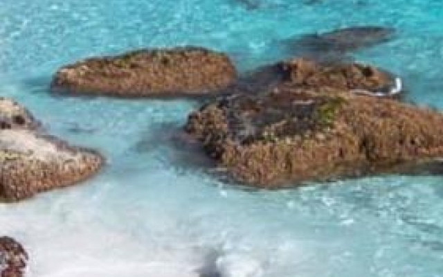Homelea Accommodation Spa Cottage & Apartments – Beach – St Helens