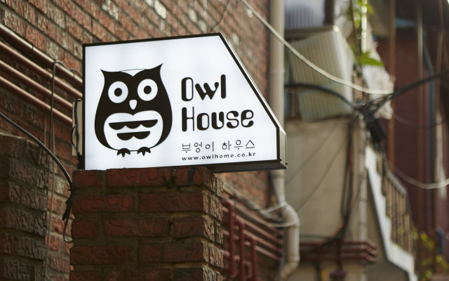 Owl Guesthouse - Hostel