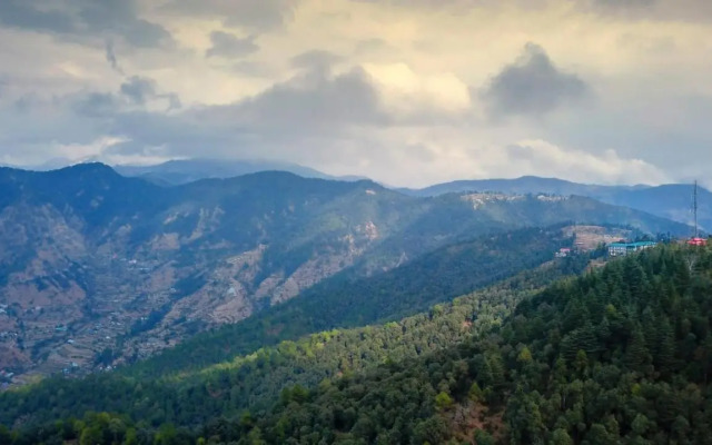 TreeHouse Chail Villas