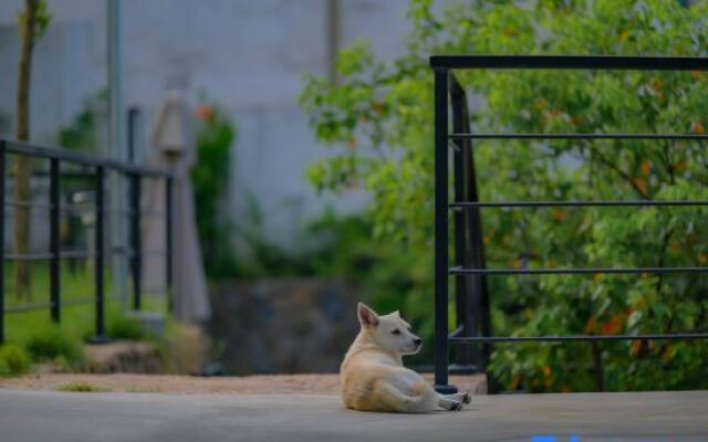 Wuji Fine•Mogan Mountain resort hotel