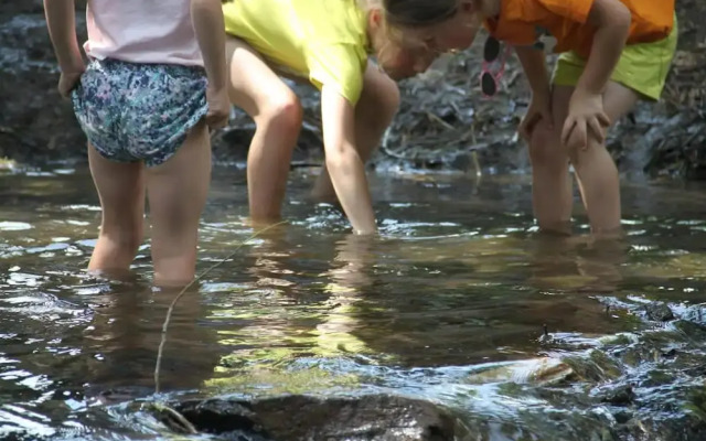 Outline Centrum Jiricna