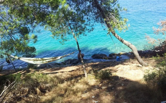 Bozo - 100m to the sea - A5