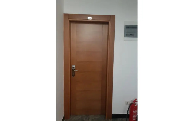 Hotel Paun