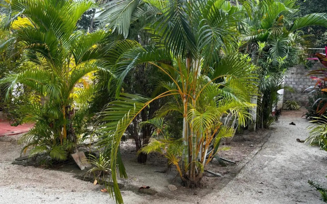 Ubay Guest House