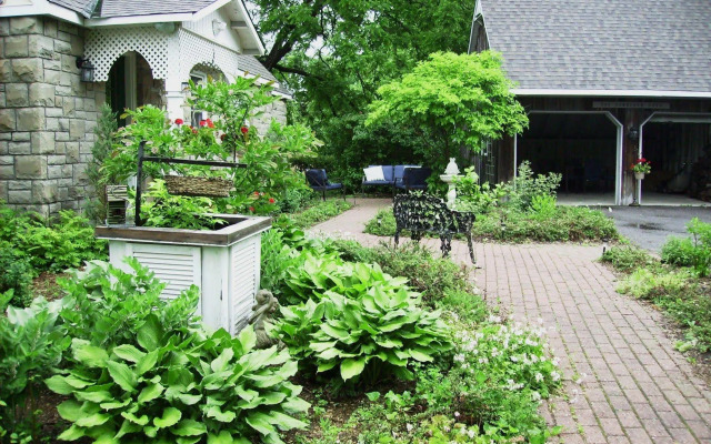 Prince of Wales Bed and Breakfast
