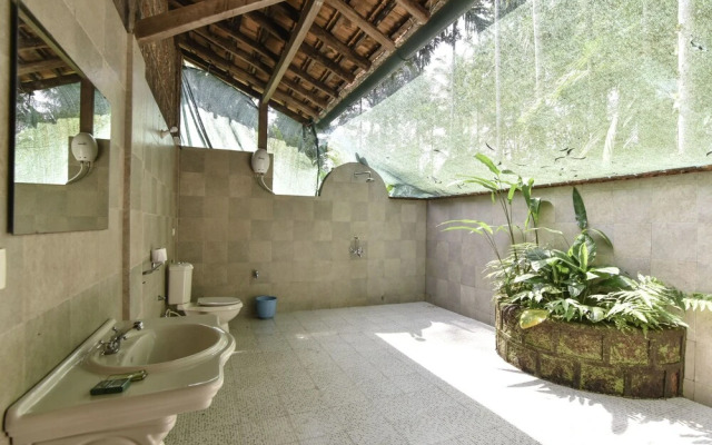 Dudhsagar Plantation