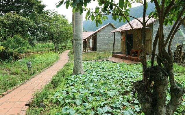 Long Phuong Homestay