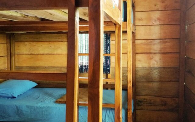 One Tree Hill - Hostel