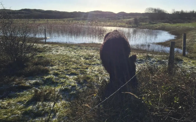 Little Lighthouse Texel
