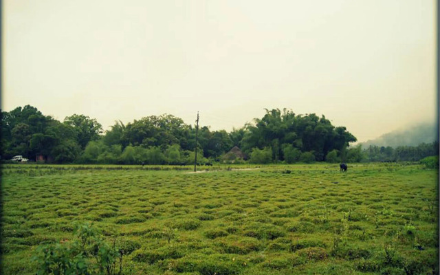 Elephant Route Resort