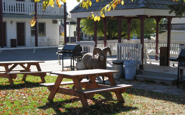 Mountain Springs Motel