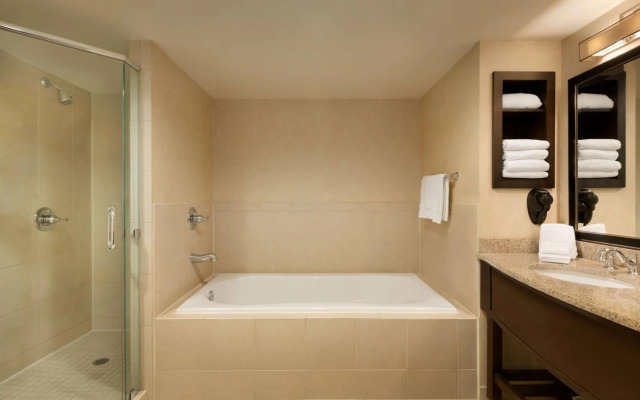 Hilton Garden Inn Atlanta Downtown