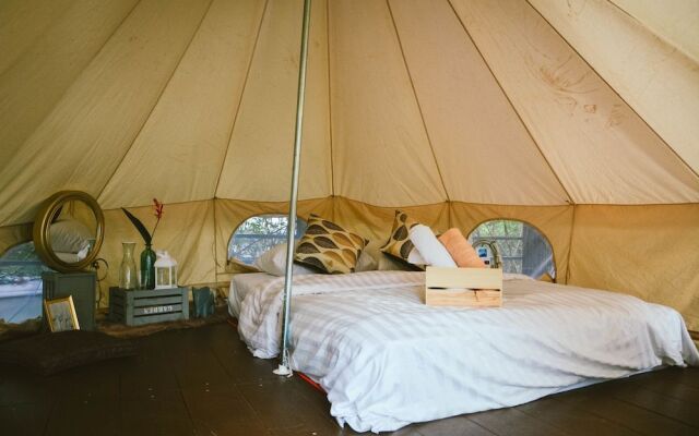 Elephant Jungle Sanctuary