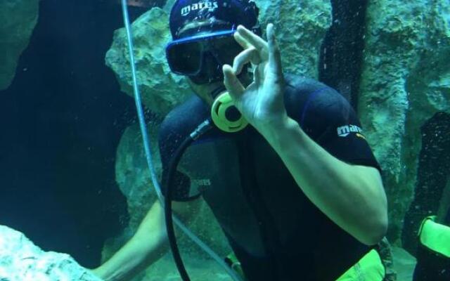 Luxus Wellness Apartman