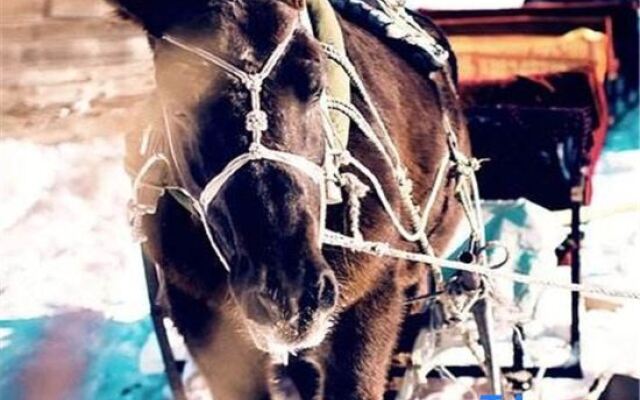 Take you to Xuexiang Inn