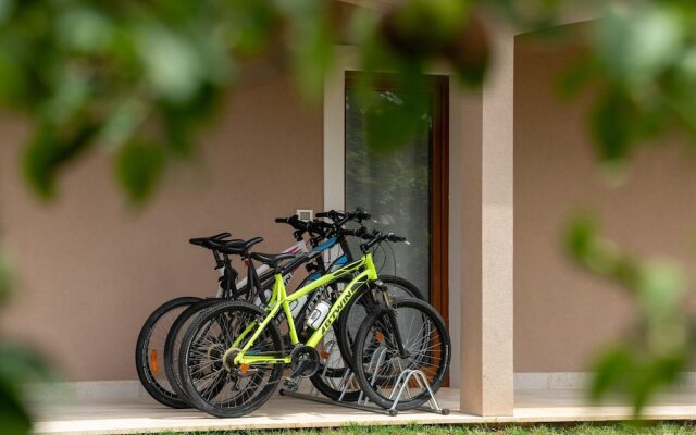 Splendid Villa in Vižinada with Hot Tub