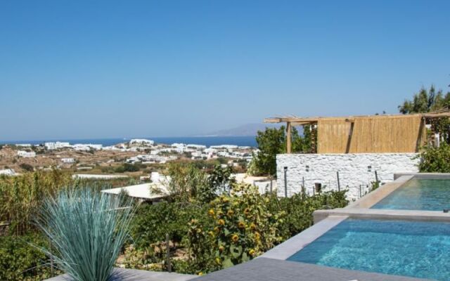 Ikies of Mykonos