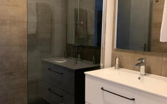 APPARTEMENT COEUR de ROANNE