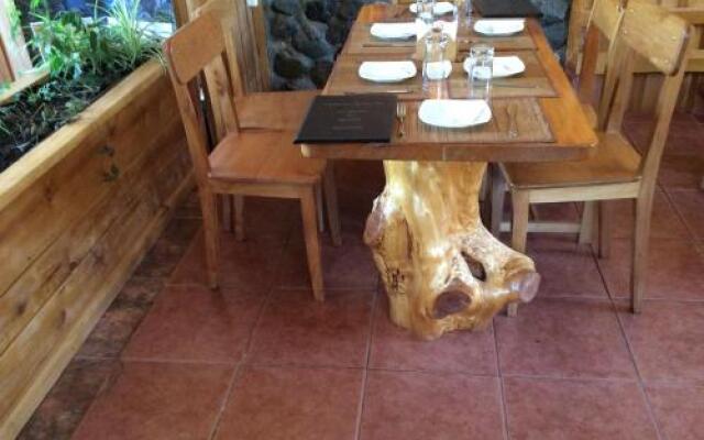 Los Mañíos Del Queulat