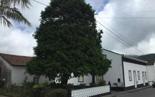 THE CEDAR TREE HOUSE Studio 48