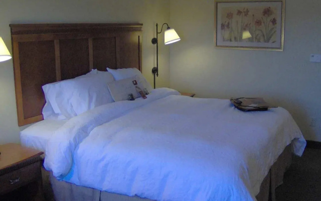 Hampton Inn Easley