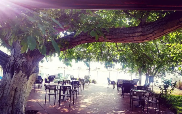 Apartmani Alex Beach