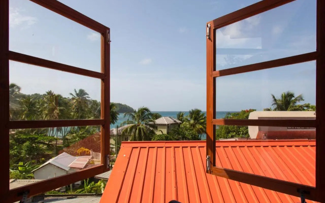 Palm View