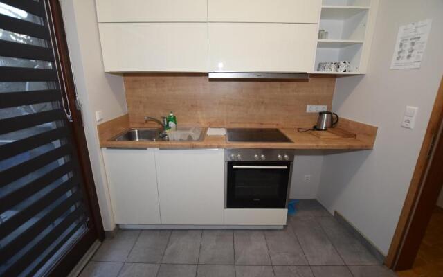 Apartment Bad Canstatt