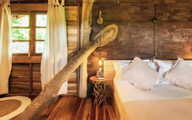 Roots Tree House