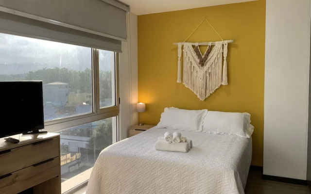 New Cozy Apartment, Zona 4