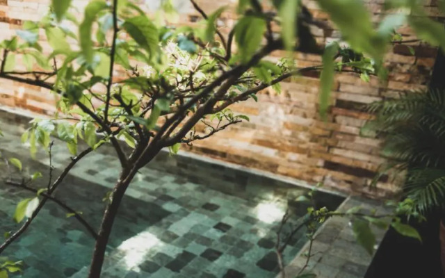 Tropical House
