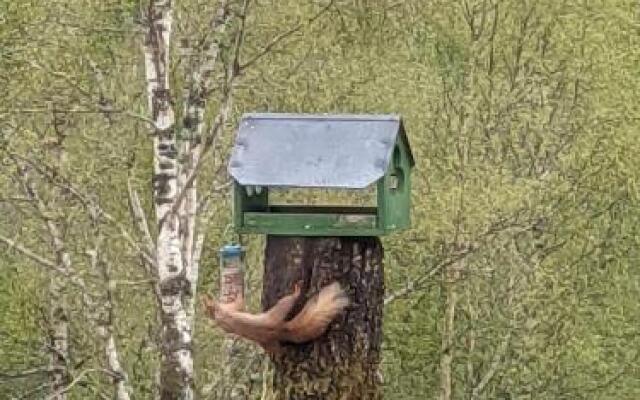 Faichemard Farm Chalets