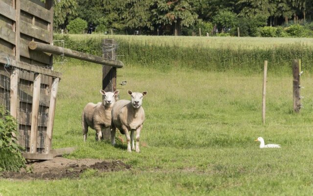 B&B Het Lavershuis