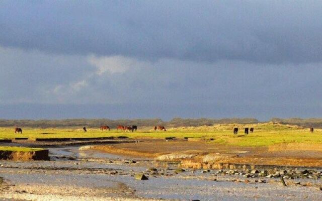 Hotel Brasserie Om de Noord