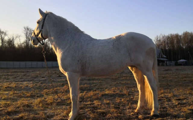 Усадьба Красивая