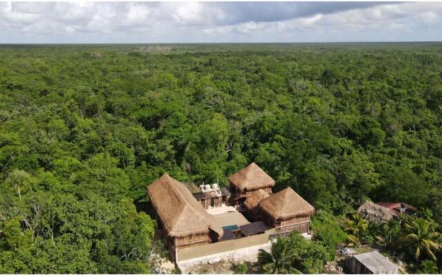 Jungla y Estrellas K AAX EK