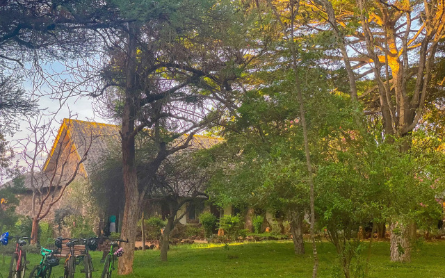 Kilaguni Serena Safari Lodge