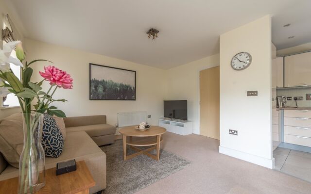 Hampden Apartments - The Alexandra
