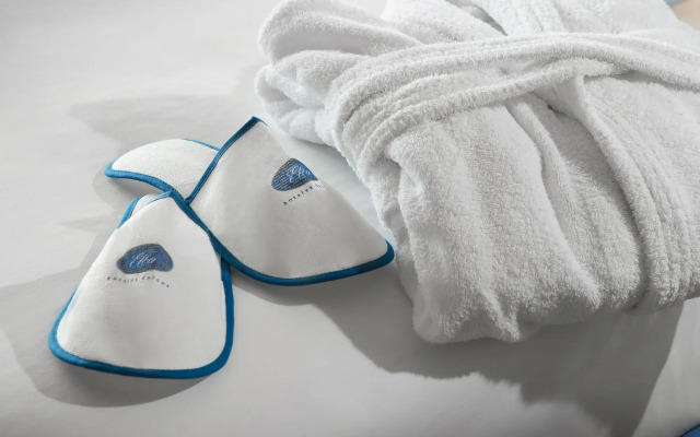Gran Hotel Elba Estepona Thalasso & Spa