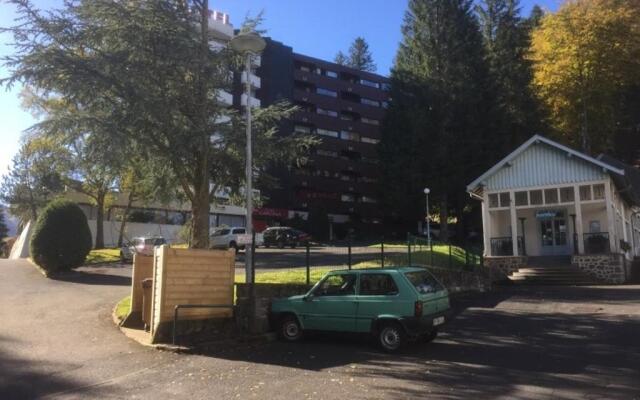 Appartement Mont-Dore, 2 pièces, 4 personnes - FR-1-415-39